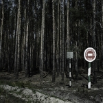 Chernobyl series